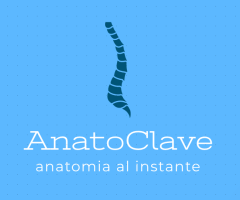 anatoclave.milaulas.com